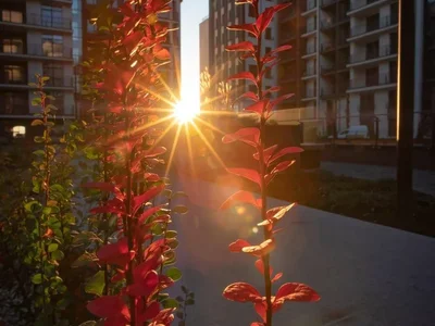 Жилой комплекс Русская Европа